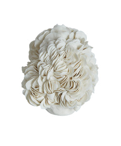 Porcelain Petals Sculpture by Lucinda Kirkby